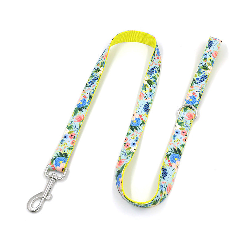 Dog leash and collar set