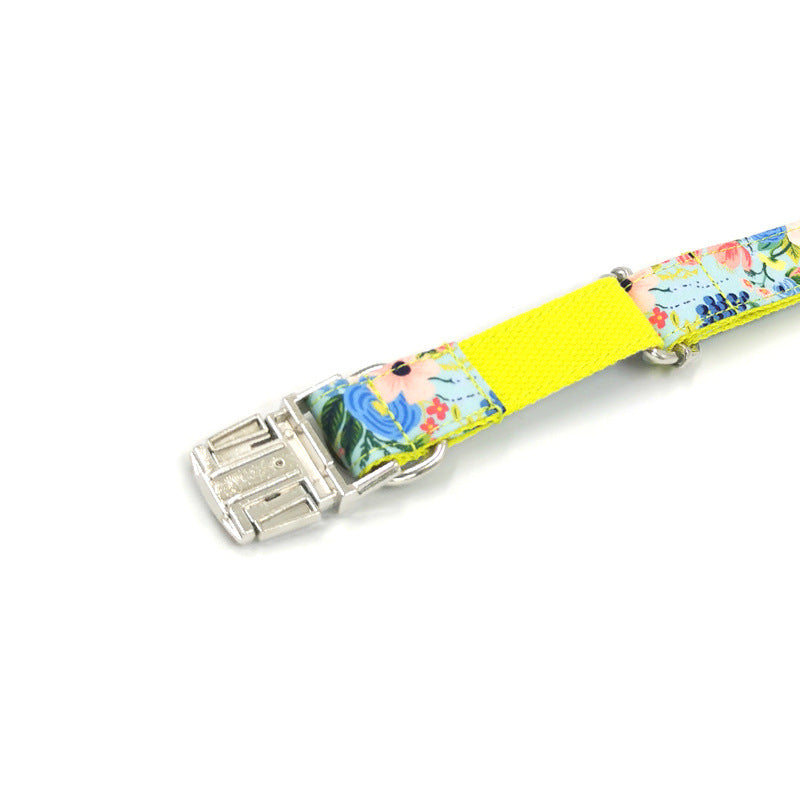 Dog leash and collar set