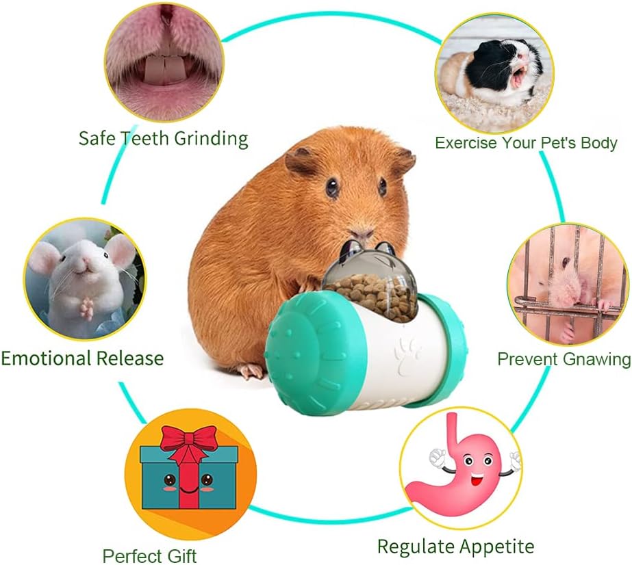 Treat Dispensing Toys