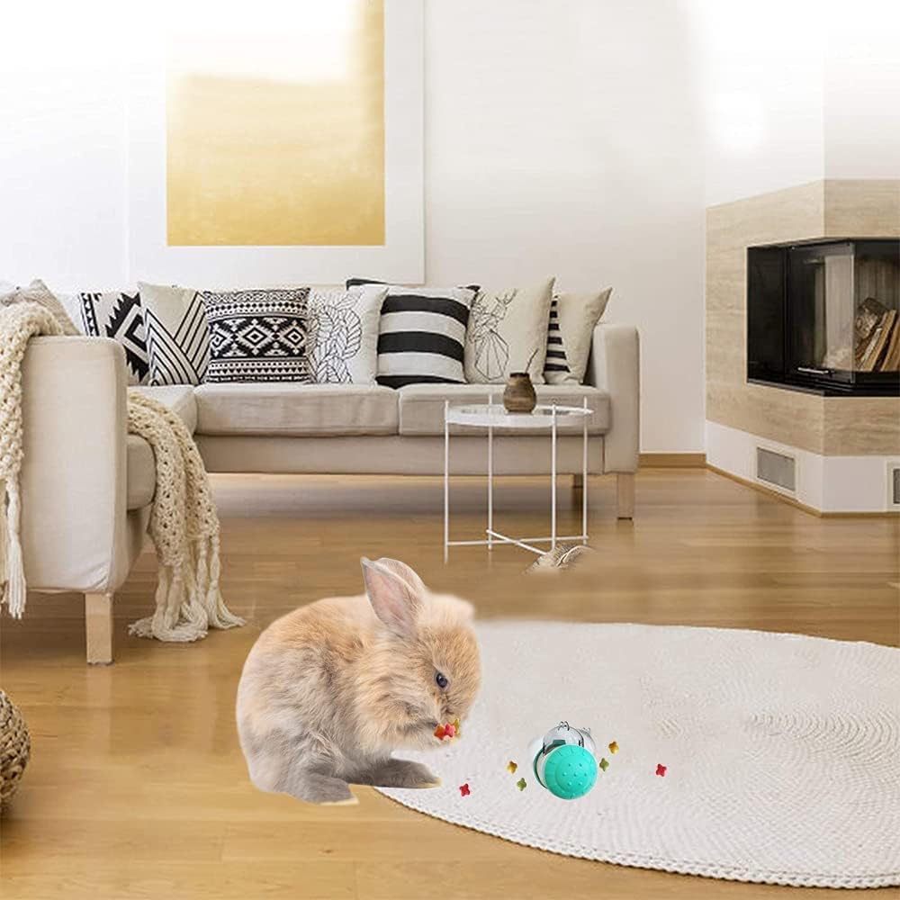 Treat Dispensing Toys