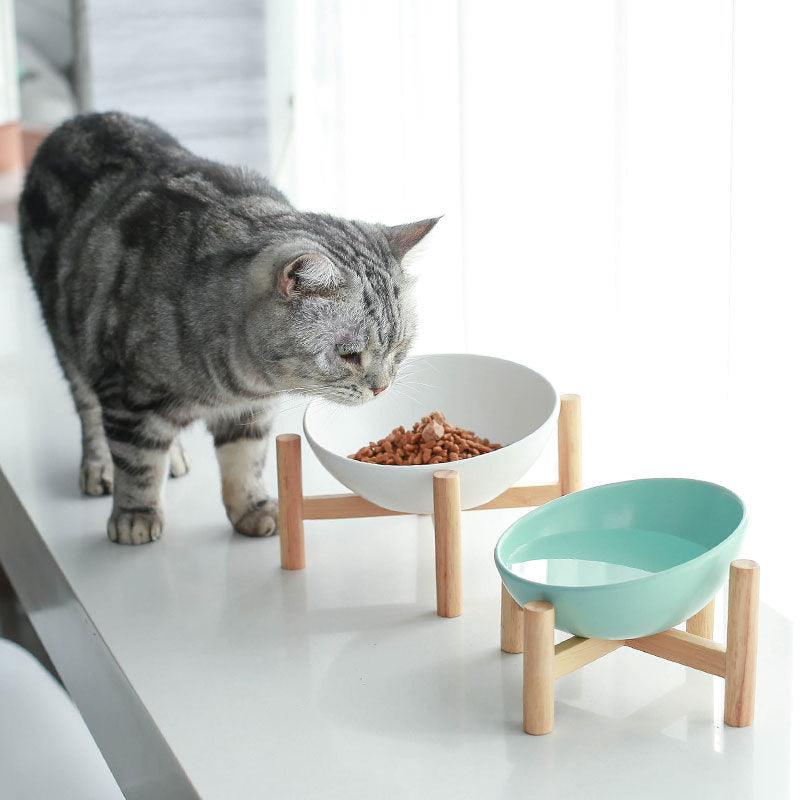 Ceramic Cat Bowl