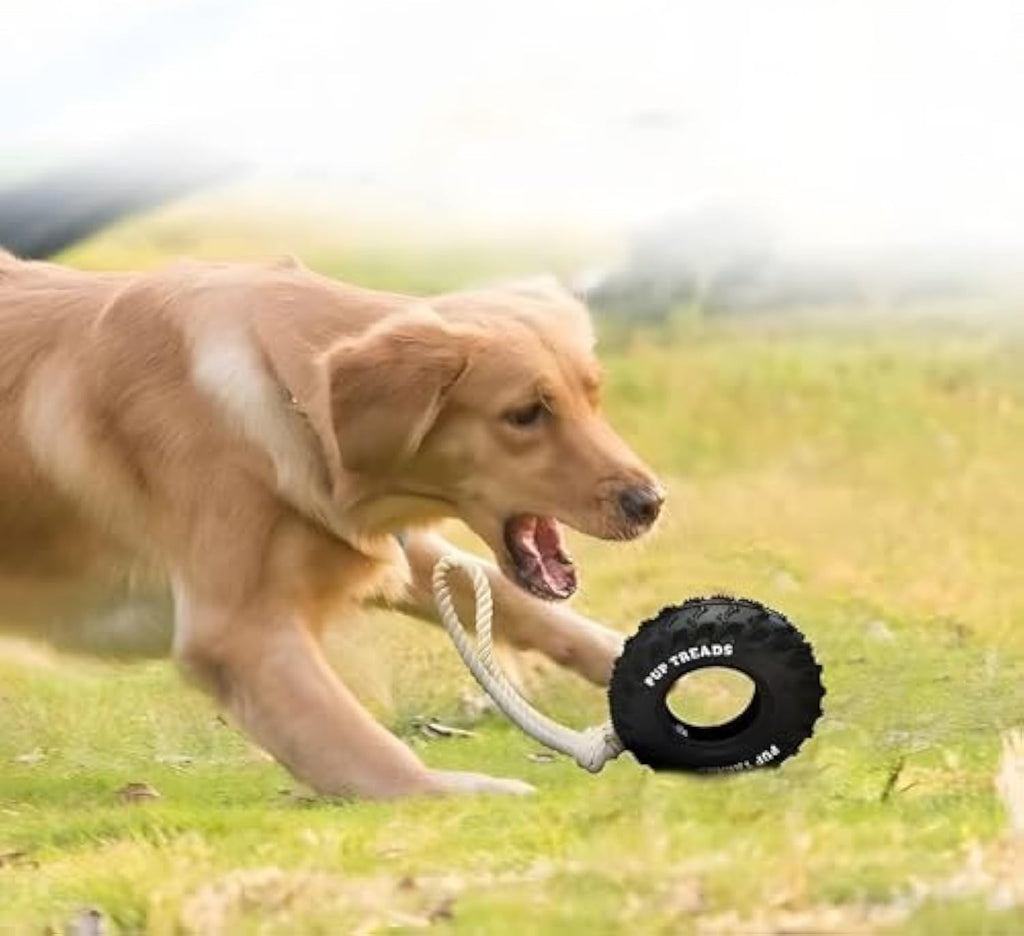 Durable Dog Toys For Aggressive Chewers