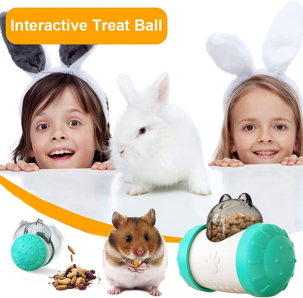 Treat Dispensing Toys